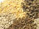 India Grain and Feed Sector: Quarterly Review