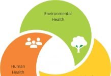 Raising broiler chickens in an antibiotic free era – the practicality