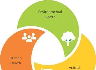 Raising broiler chickens in an antibiotic free era – the practicality