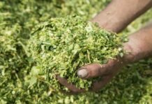 EW Nutrition acquires BIOSTABIL product line from dsm-firmenich