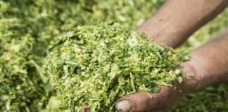 EW Nutrition acquires BIOSTABIL product line from dsm-firmenich