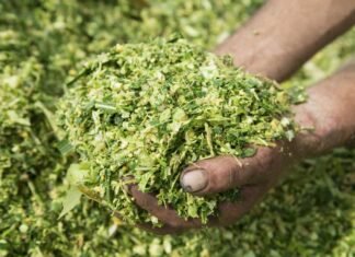 EW Nutrition acquires BIOSTABIL product line from dsm-firmenich