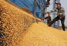 April WASDE Report Reveals Rise in Corn Demand