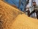 April WASDE Report Reveals Rise in Corn Demand