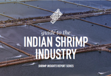 Free Shrimp Insights Guide to the Indian Shrimp Industry