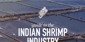 Free Shrimp Insights Guide to the Indian Shrimp Industry