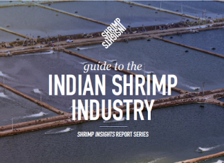 Free Shrimp Insights Guide to the Indian Shrimp Industry