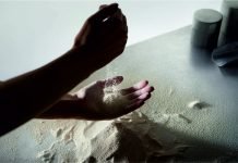 New study by Enifer shows that shrimp grow faster and healthier when fed with fungi protein