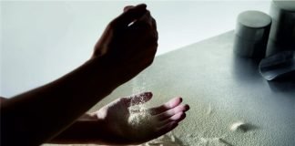 New study by Enifer shows that shrimp grow faster and healthier when fed with fungi protein