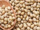ICAR-IISR Research Targets Enhancing Soybean Quality and Yield through Genetic Engineering