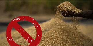 SEA Urges Government Not to Extend De-Oiled Rice Bran Ban Beyond July 31