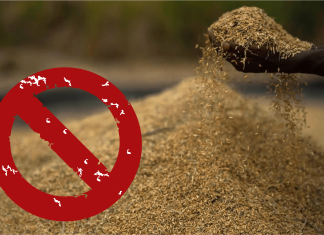 SEA Urges Government Not to Extend De-Oiled Rice Bran Ban Beyond July 31