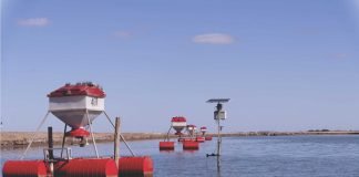 Transforming Shrimp farming: The IoT Advantage