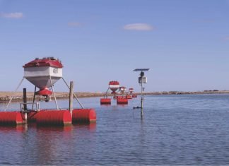 Transforming Shrimp farming: The IoT Advantage
