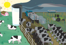 UK: Fat supplement results higher yield response in commercial dairy trials