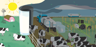 UK: Fat supplement results higher yield response in commercial dairy trials