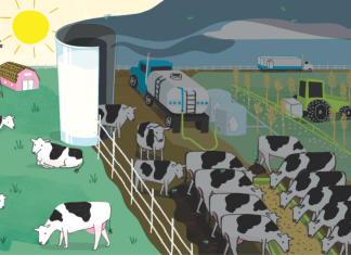 UK: Fat supplement results higher yield response in commercial dairy trials