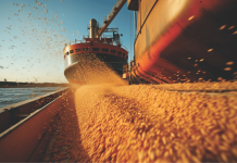 Soymeal Exports Rise 8.8% Between October and April
