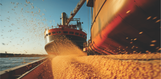 Soymeal Exports Rise 8.8% Between October and April