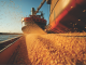 Soymeal Exports Rise 8.8% Between October and April