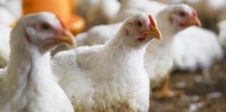 Data Highlights the Need to Adapt Production to Demand Fluctuations