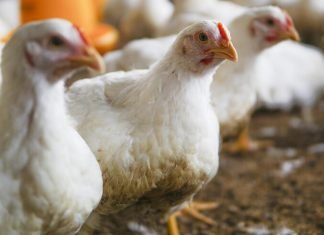 Data Highlights the Need to Adapt Production to Demand Fluctuations