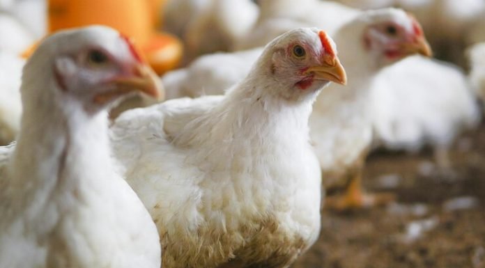 Data Highlights the Need to Adapt Production to Demand Fluctuations