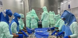 India’s Seafood Exports Hit Record High in Volume but See 5.38% Decline in Value