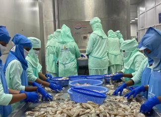 India’s Seafood Exports Hit Record High in Volume but See 5.38% Decline in Value