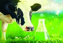 Research: Carbon-Neutral Fumarate Production Using Bacterial Metabolism of Sugar and CO2