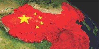 China’s May Soy Imports from the US Surge as Brazilian Arrivals See First Decline of the Year