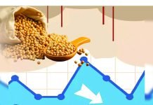 Soymeal Exports Surge 8% from October to May Driven by Robust Demand from West Asia