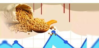 Soymeal Exports Surge 8% from October to May Driven by Robust Demand from West Asia