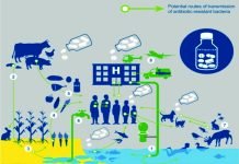 Antimicrobial Resistance in Fisheries & Livestock: All-India Network Project Inception Workshop in India