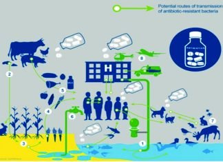 Antimicrobial Resistance in Fisheries & Livestock: All-India Network Project Inception Workshop in India