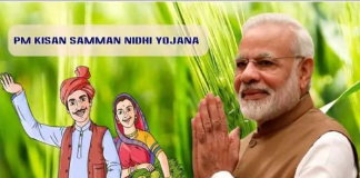 PM Modi’s Third Term Kicks Off with Boosts to Farming Sector: PM Kisan Nidhi and MSP Hike