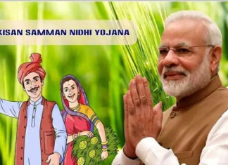 PM Modi’s Third Term Kicks Off with Boosts to Farming Sector: PM Kisan Nidhi and MSP Hike