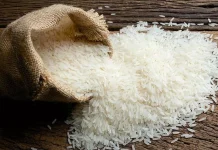 Rice Exporters Urge Indian Government to Lift Ban on White and Broken Rice Exports