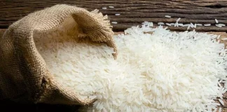 Rice Exporters Urge Indian Government to Lift Ban on White and Broken Rice Exports