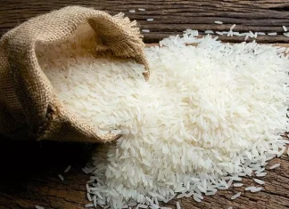 Rice Exporters Urge Indian Government to Lift Ban on White and Broken Rice Exports