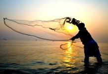 Fisheries Sector Gets Major Boost with Inauguration of Over 125 Projects