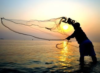 Fisheries Sector Gets Major Boost with Inauguration of Over 125 Projects