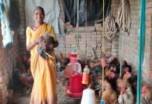Farmers Encouraged to Start Backyard Poultry for Sustainable Livelihood