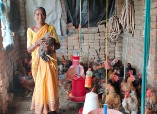 Farmers Encouraged to Start Backyard Poultry for Sustainable Livelihood