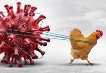 Early Avian Influenza Outbreak Threatens Kerala’s Poultry Industry