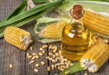 India Permits Import of Corn and Vegetable Oils at Concessional Duty