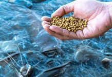 FM Proposes Reduction in Customs Duty on Fish Feeds
