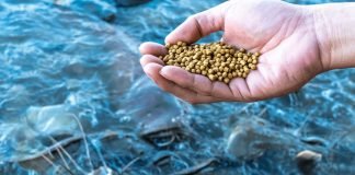 FM Proposes Reduction in Customs Duty on Fish Feeds