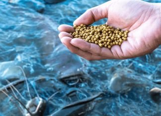 FM Proposes Reduction in Customs Duty on Fish Feeds
