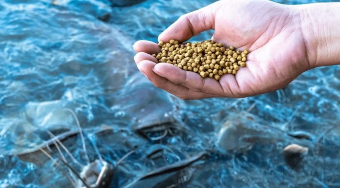 FM Proposes Reduction in Customs Duty on Fish Feeds
